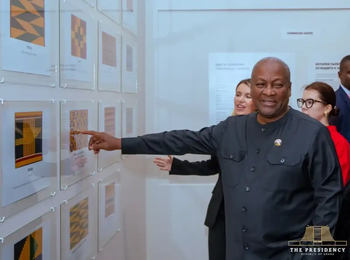 I don’t mind criticism, and I see your TikTok posts - Mahama